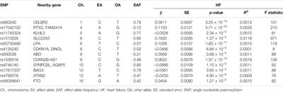 Heart Failure and Ischemic Stroke: A Bidirectional and Multivariable Mendelian Randomization Study